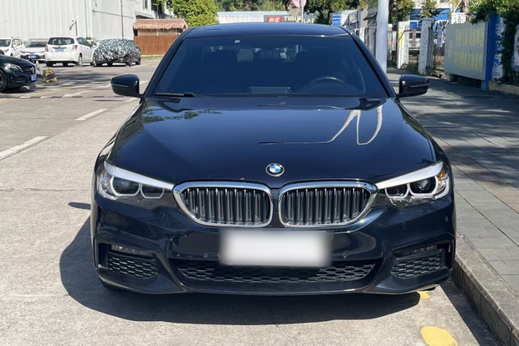BMW 5 Series (Imported) 2018 car image #6