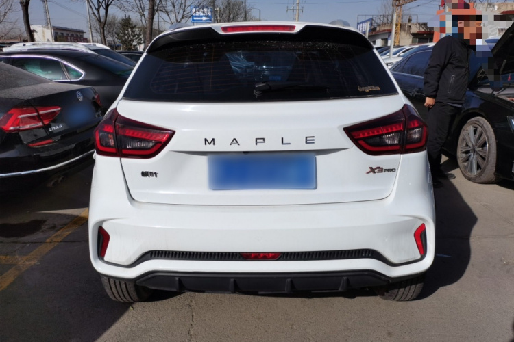 睿蓝汽车 睿蓝汽车X3 PRO 2023 汽车图片 #6