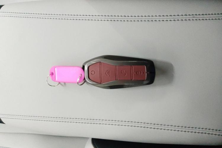 BYD Seal 06 New Energy 2024 image de voiture #6