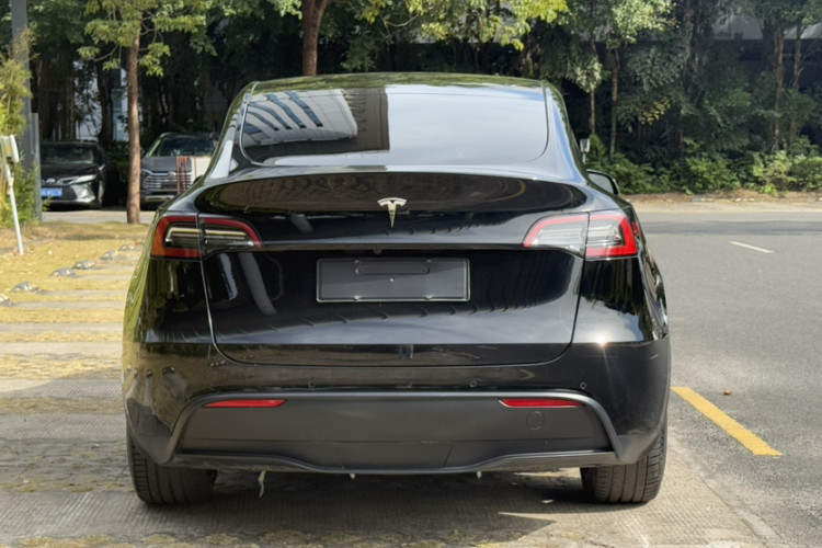 Tesla Model Y 2021 #6 Tesla Model Y 2021 car image #6
