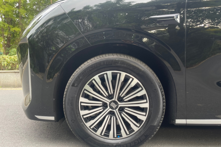 BYD Xia 2024 immagine di auto #6