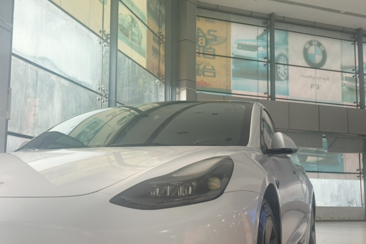 Tesla Model 3 2022 #6 Tesla Model 3 2022 صورة سيارة #6