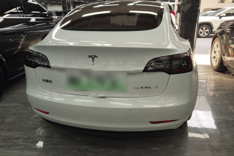 Tesla Model 3 2020 #6 Tesla Model 3 2020 صورة سيارة #6