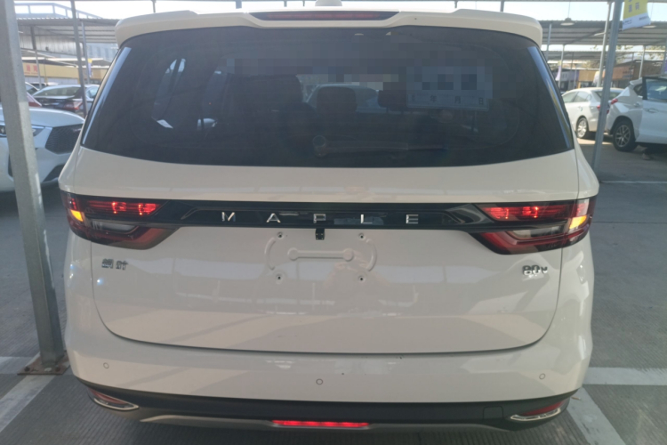 睿蓝汽车 枫叶80v 2021 汽车图片 #6