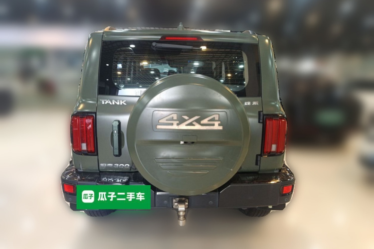 Tank 300 2022 car image #6