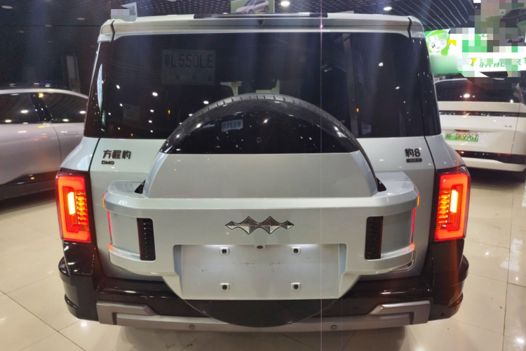 FangChengBao Leopard 8 2024 car image #6