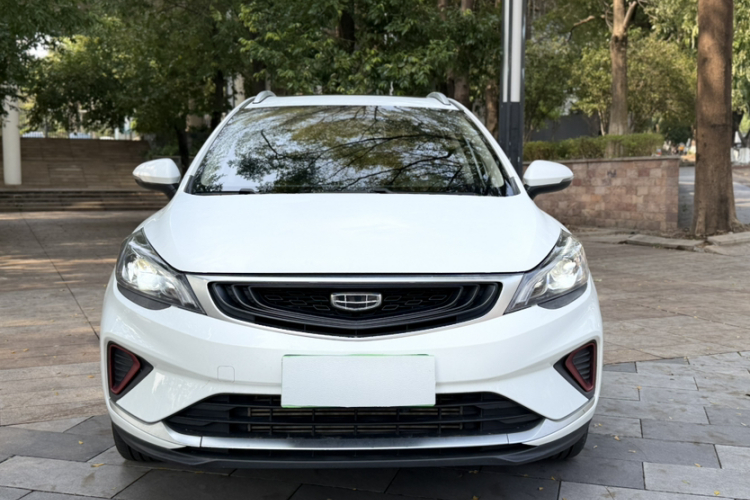 GEELY Emgrand GS 2021 car image #6