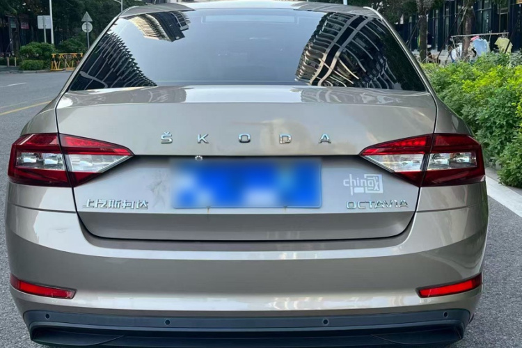 Skoda Octavia 2019 car image #6