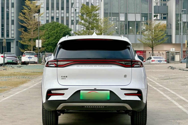 BYD Tang New Energy 2023 car image #6