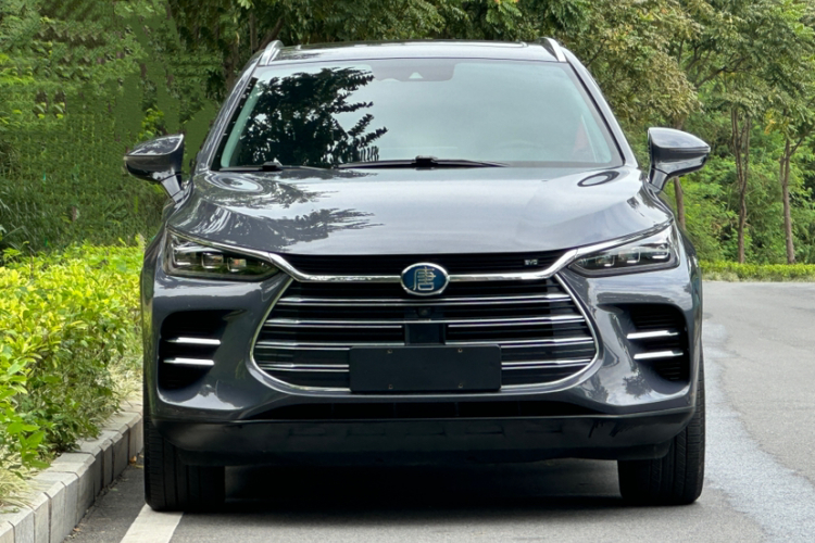 BYD Tang New Energy 2019 immagine di auto #6