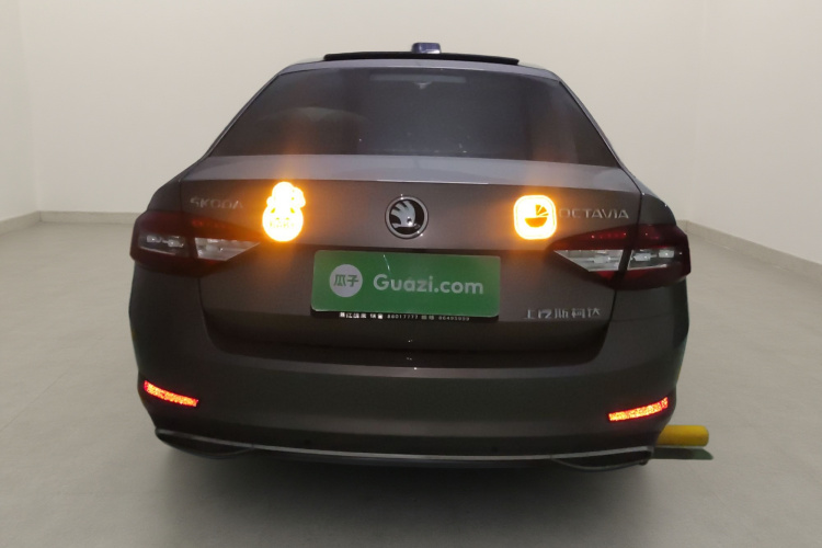 Skoda Octavia 2019 car image #6