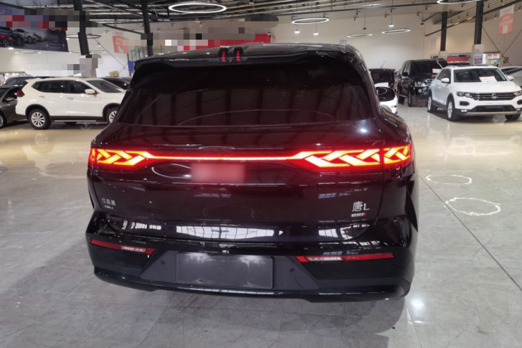 BYD Tang L 2025 car image #6