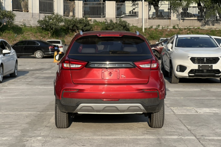 睿蓝汽车 枫叶30X 2021 汽车图片 #6