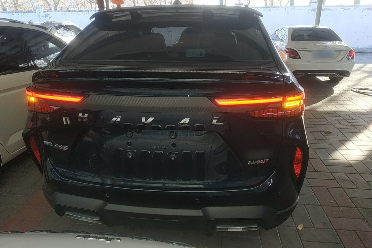 Haval H6S 2021 immagine di auto #6