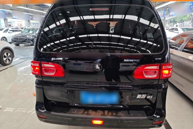 Forthing Lingzhi 2024 immagine di auto #6