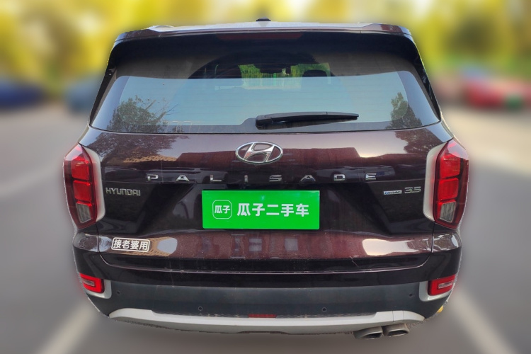 Hyundai Palisade 2020 car image #6