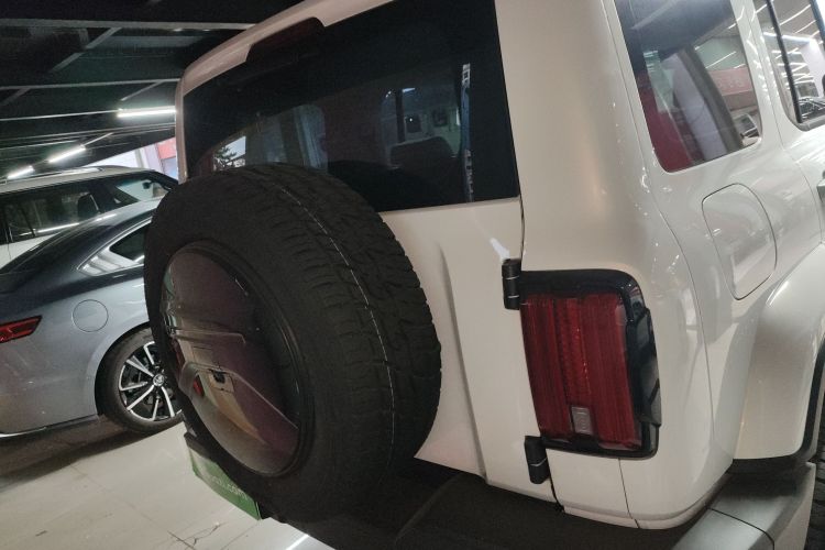 Tank 300 New Energy 2024 car image #6