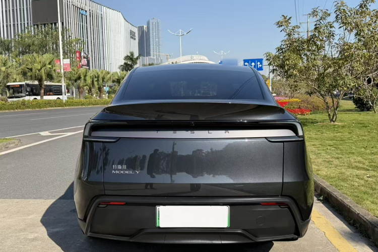 Tesla Model Y 2025 car image #6