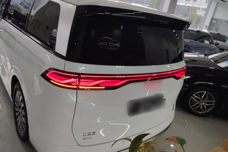 BYD Xia 2024 car image #6