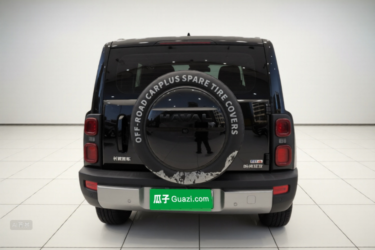 Haval Raptor New Energy 2023 car image #6