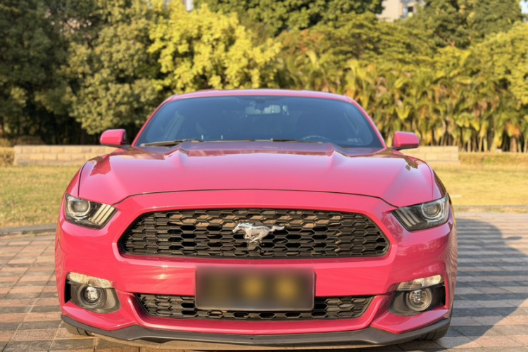 Ford 2015 car image #6