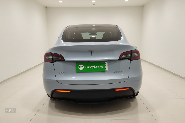 Tesla Model Y 2023 car image #6