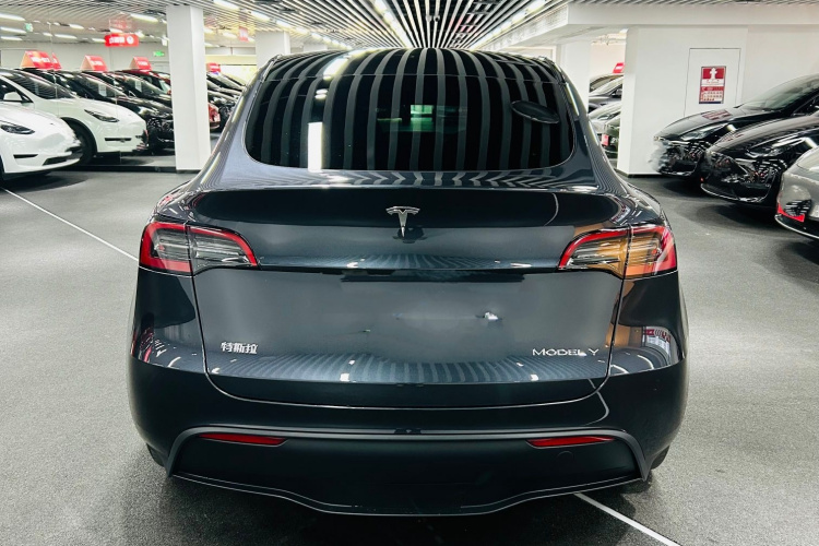 Tesla Model Y 2024 car image #6