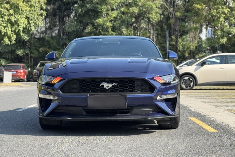 Ford Mustang 2020 car image #6