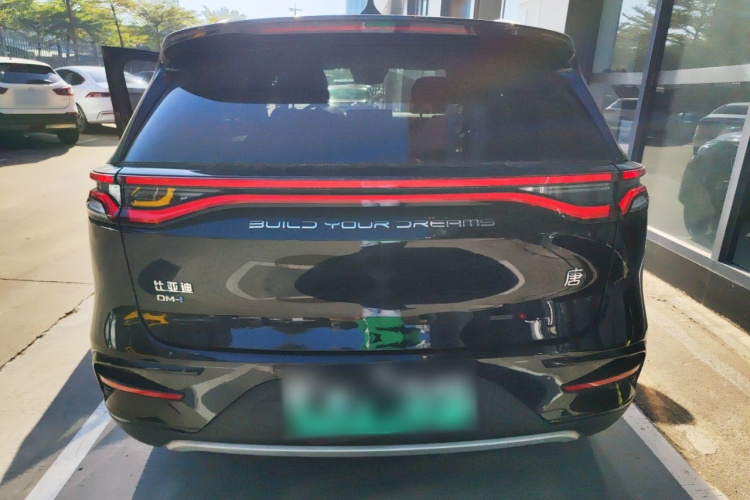 BYD Tang New Energy 2023 car image #6