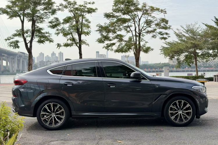 BMW X6 2020 car image #6