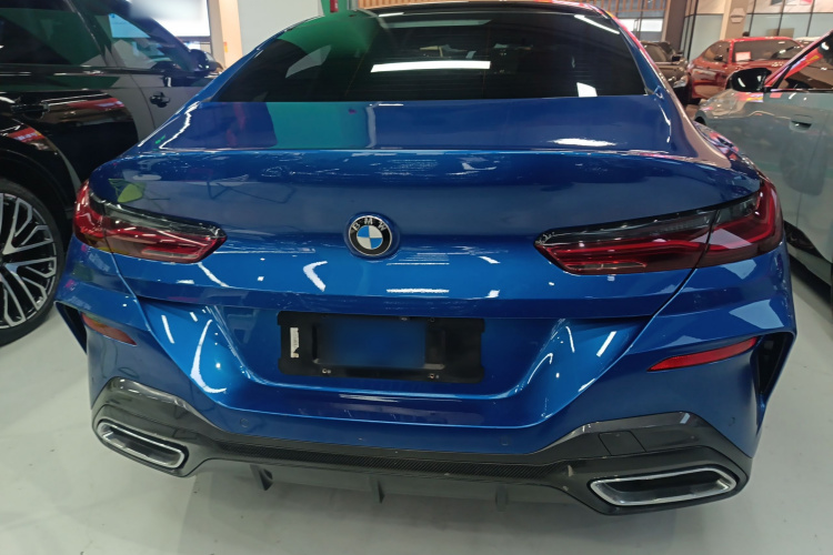 BMW 8 Series 2020 #6 BMW 8 Series 2020 immagine di auto #6