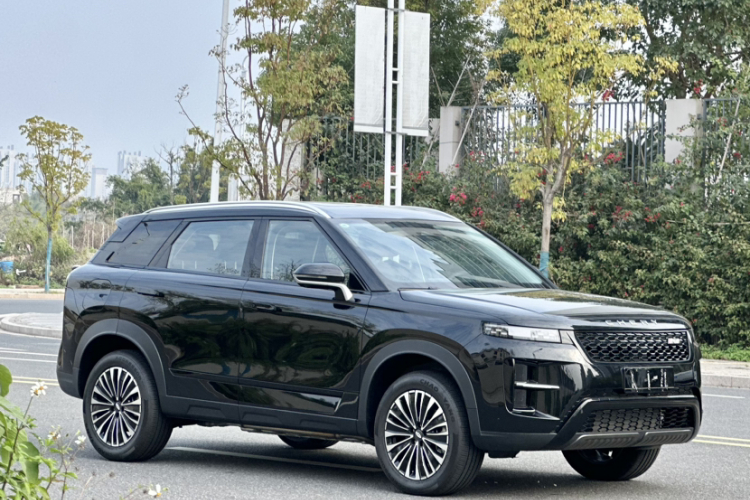 Tiggo7 C-DM 2025 car image #6