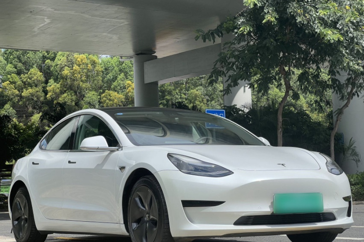 Tesla Model 3 2020 car image #6