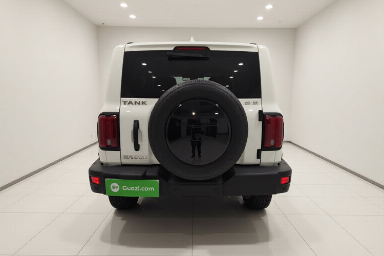 Tank 300 2021 #6 Tank 300 2021 car image #6