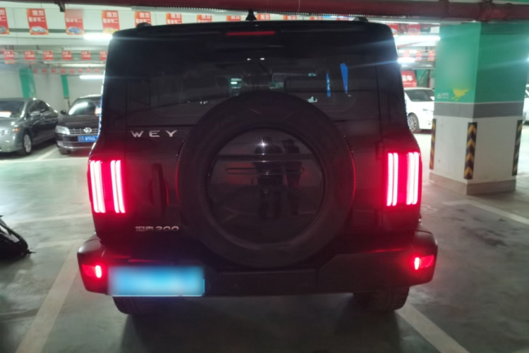 Tank 300 2021 #6 Tank 300 2021 car image #6