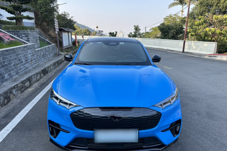 Ford Mustang Mach-E 2022 car image #6