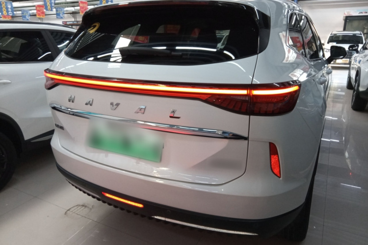 Haval H6 2022 car image #6