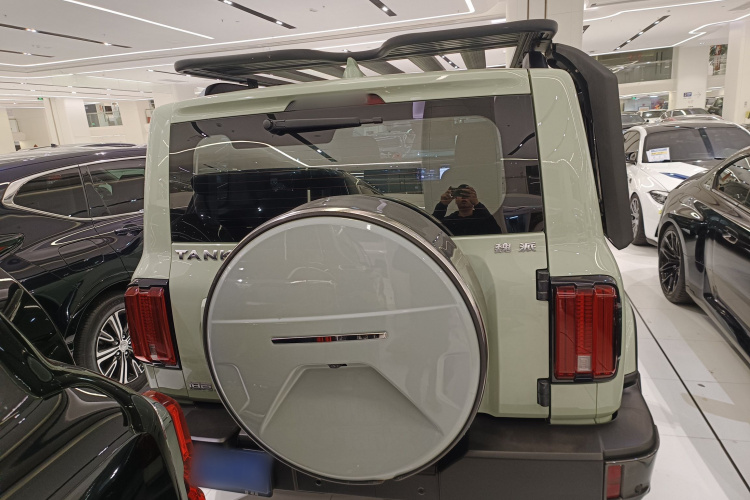 Tank 300 2022 #6 Tank 300 2022 car image #6