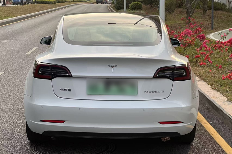Tesla Model 3 2020 #6 Tesla Model 3 2020 car image #6