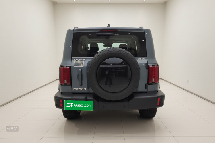 Tank 300 2022 #6 Tank 300 2022 car image #6