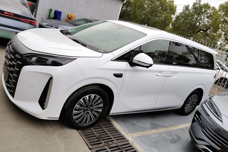 BYD Xia 2024 car image #6