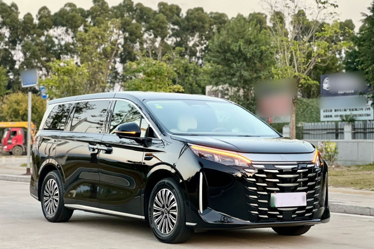 BYD Xia 2025 car image #6