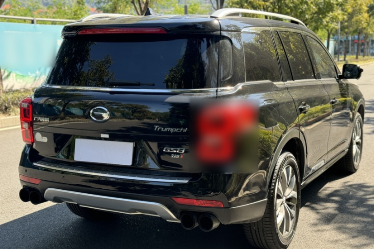 GAC Trumpchi GS8 2019 car image #6
