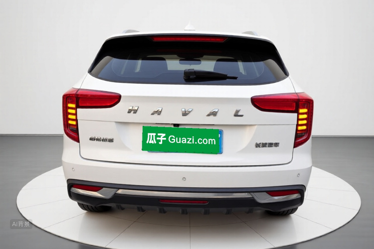 Haval Jolion 2021 car image #6