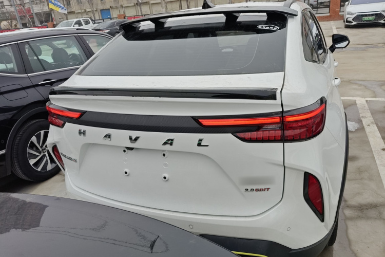 Haval H6S 2022 car image #6