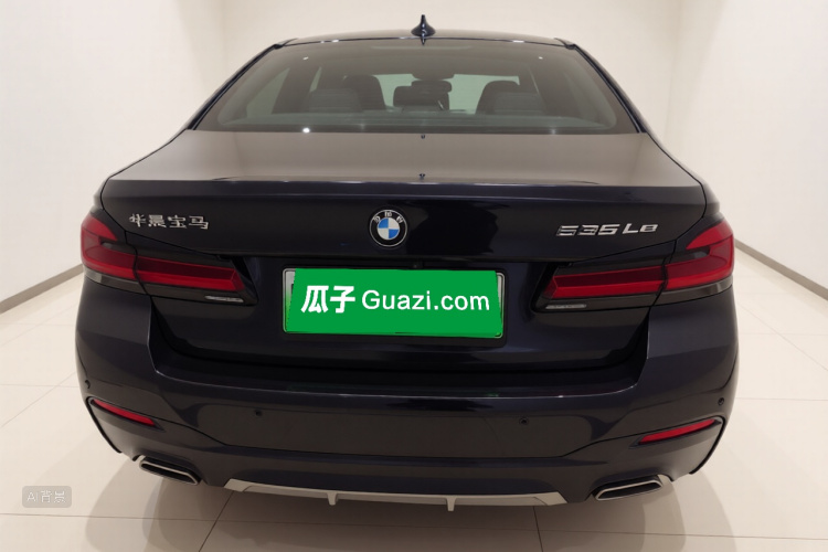 BMW 5 Series New Energy 2021 car image #6