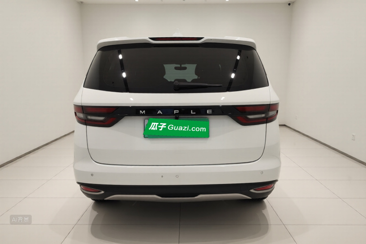 睿蓝汽车 枫叶80v 2022 汽车图片 #6