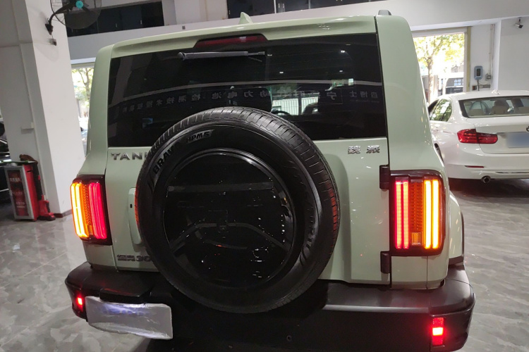 Tank 300 2021 immagine di auto #6