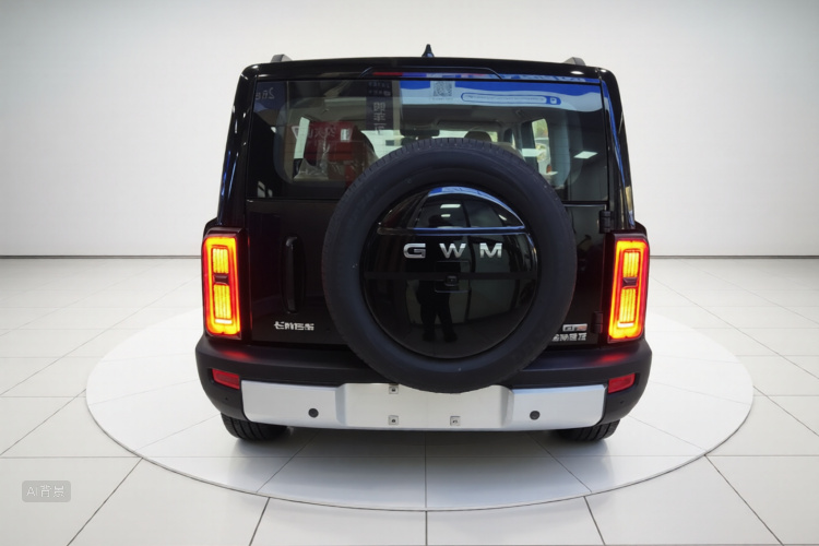 Haval Raptor New Energy 2025 car image #6