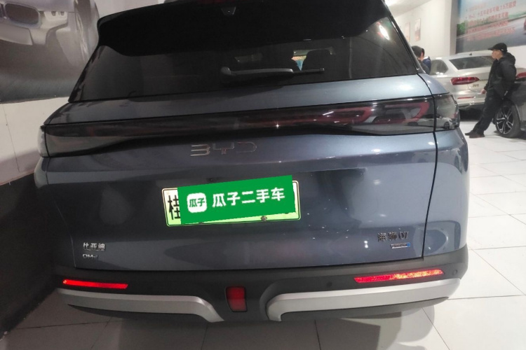 BYD Sea Lion 07 DM-i 2025 car image #6